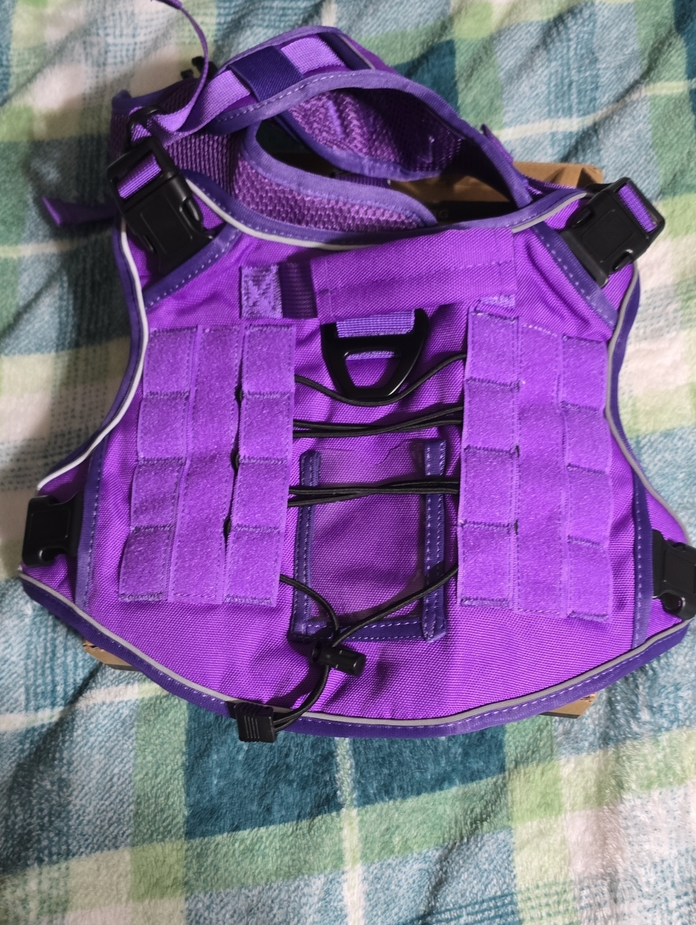 One-Piece Purple Activity Harness